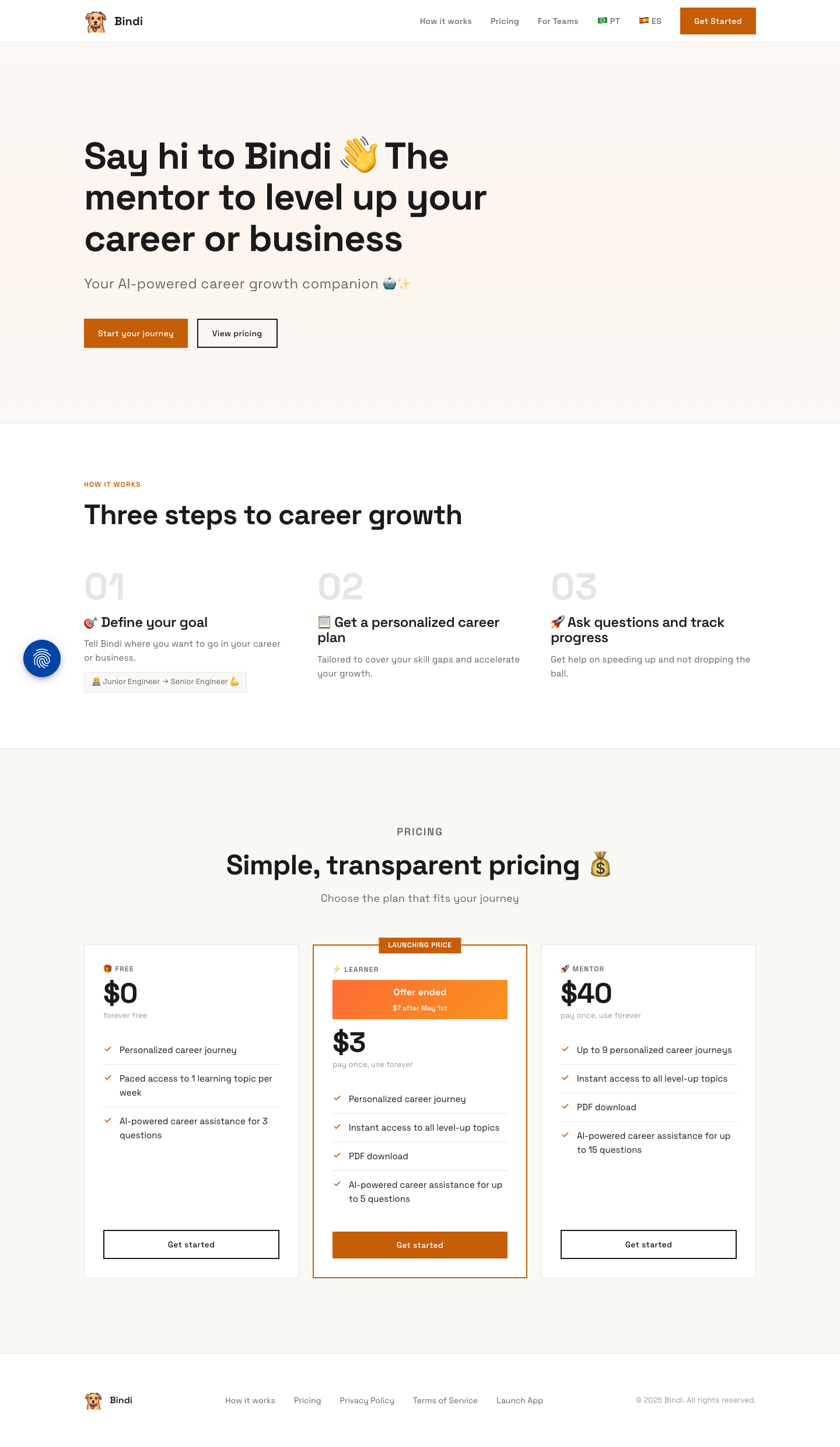 Bindi AI career mentor full landing page screenshot