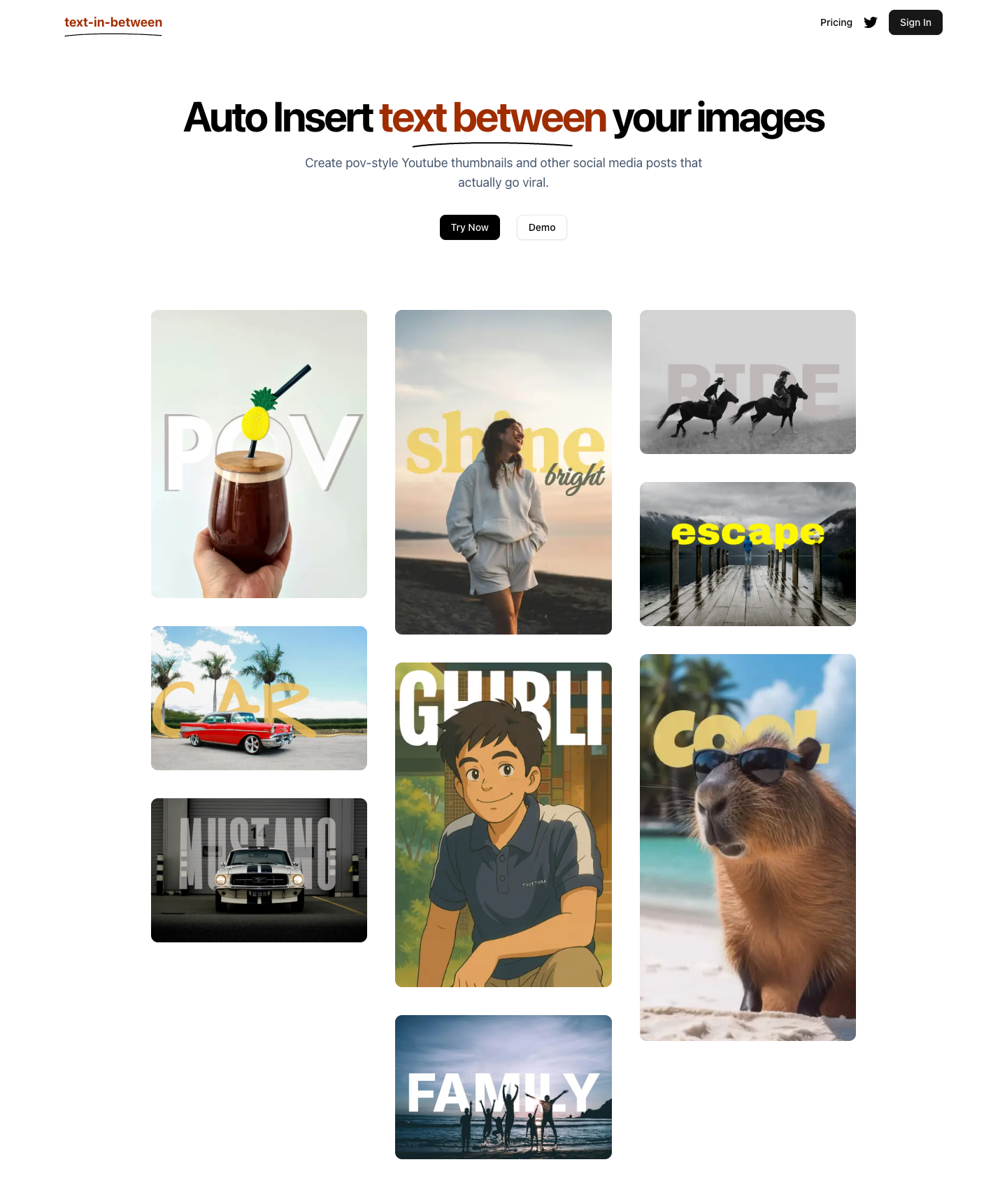 Text In Between full landing page screenshot