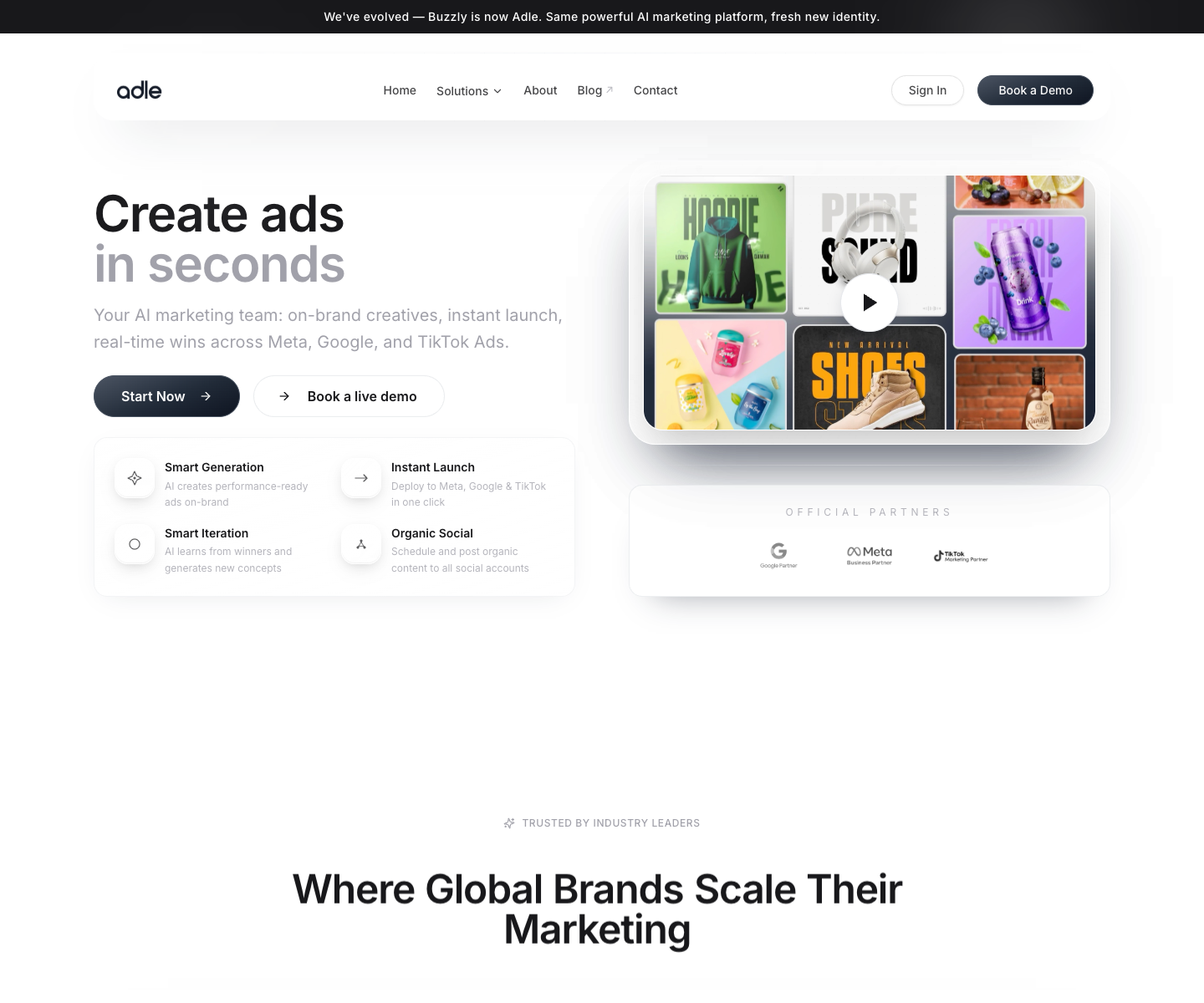 Adle landing page screenshot