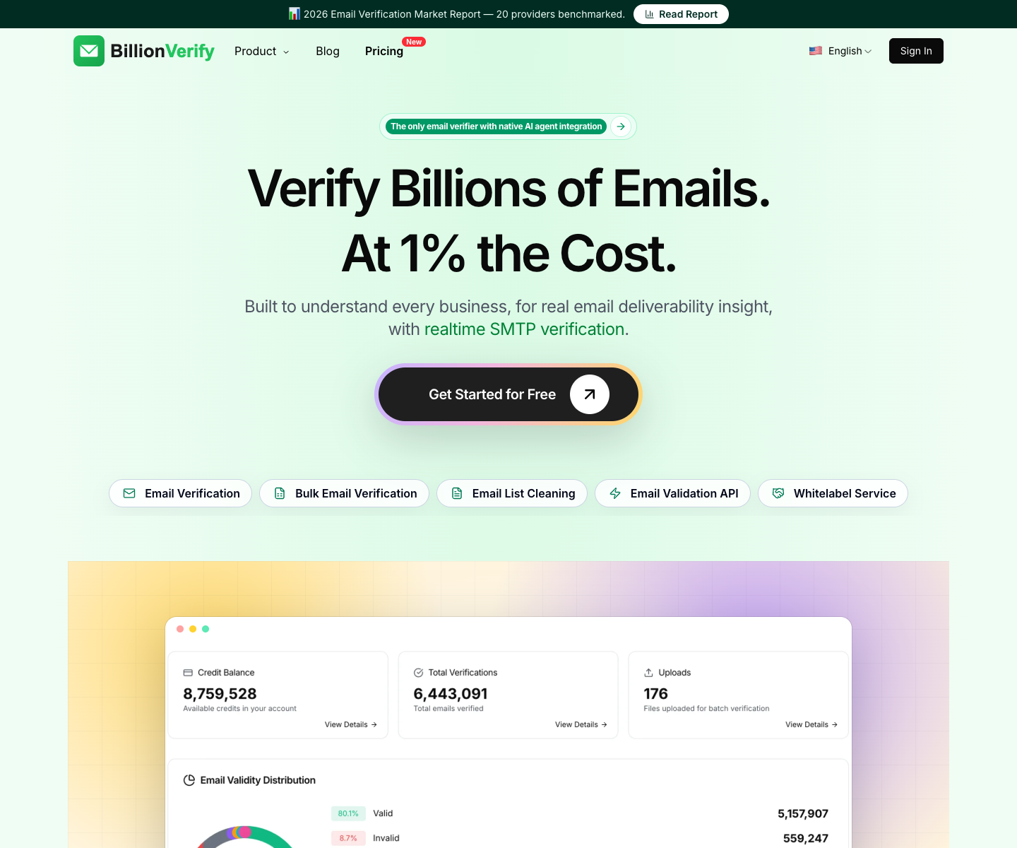 BillionVerify landing page screenshot