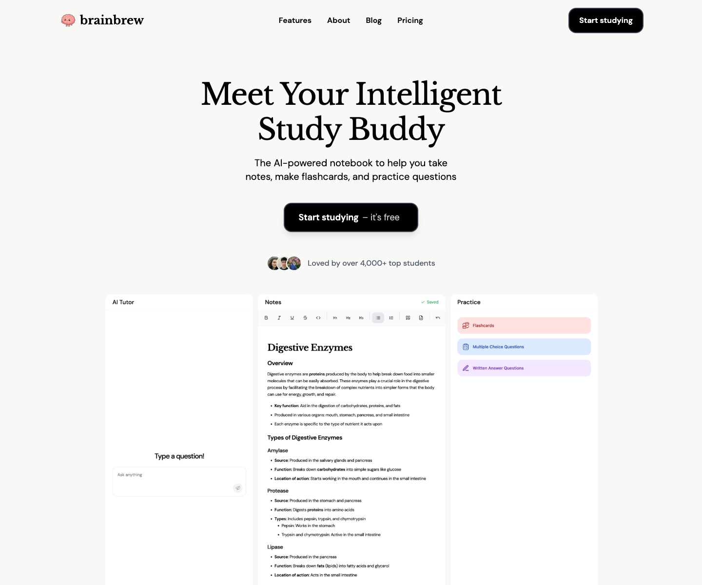 BrainBrew landing page screenshot
