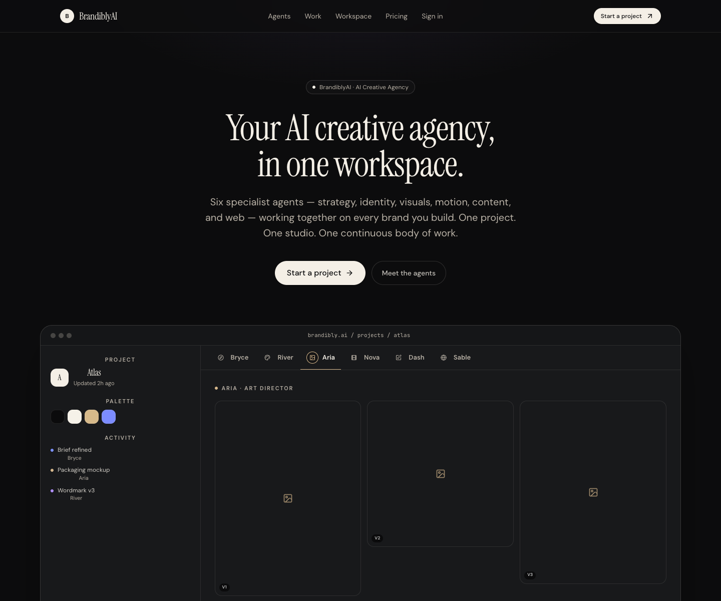 BrandiblyAI landing page screenshot