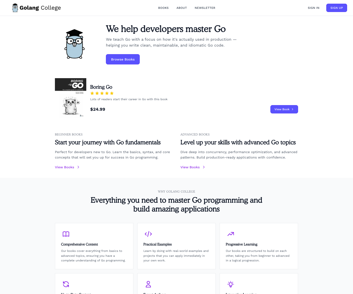 Golang College landing page screenshot