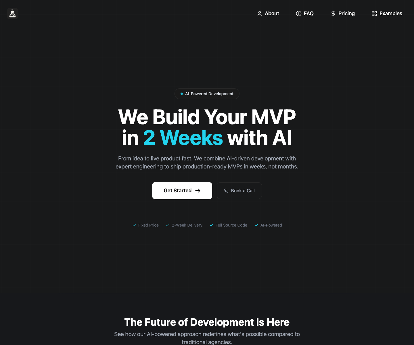 MintMVP landing page screenshot