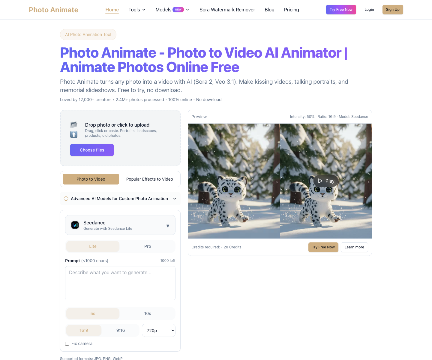 photoanimate.net landing page screenshot