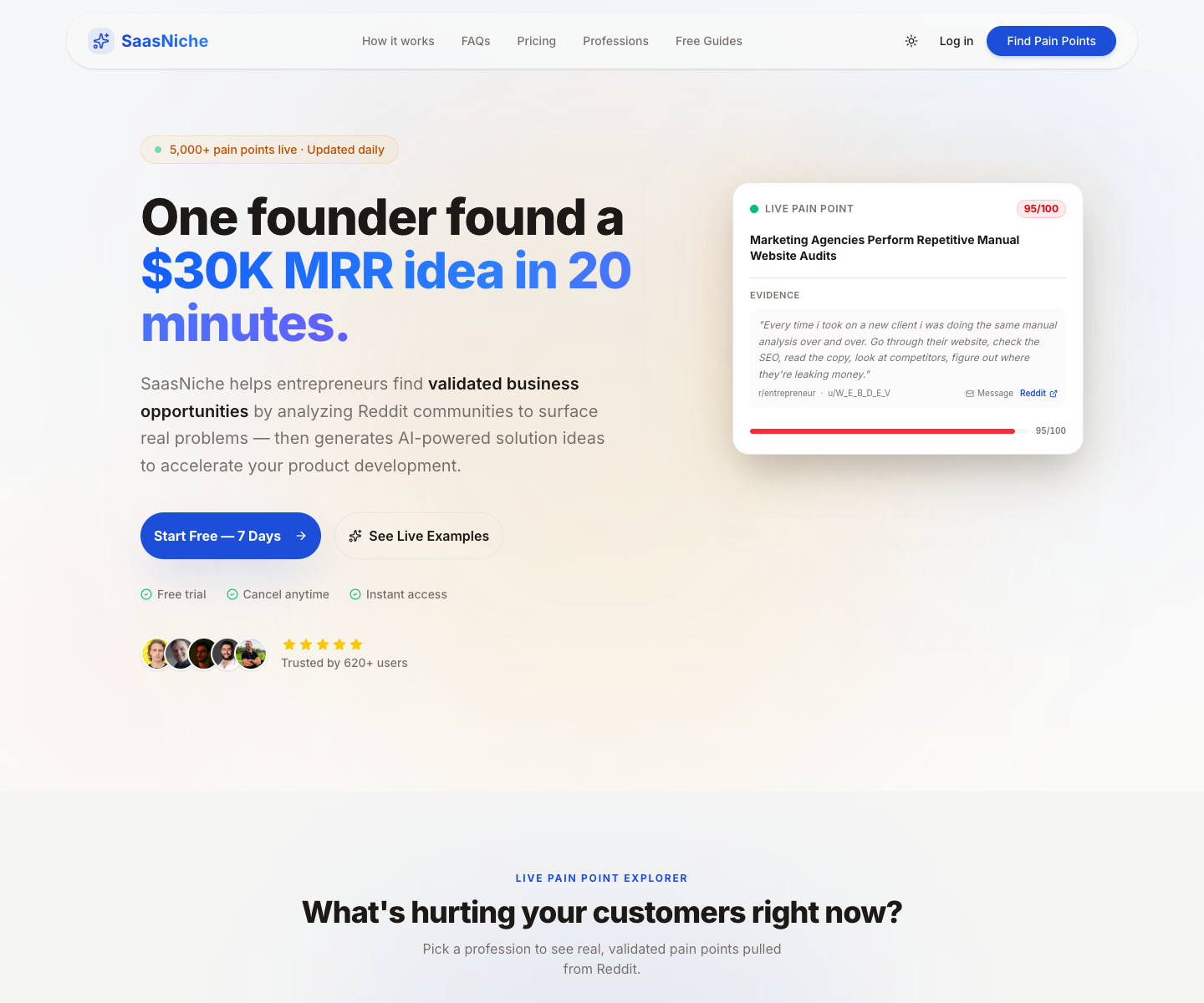 SaasNiche landing page screenshot