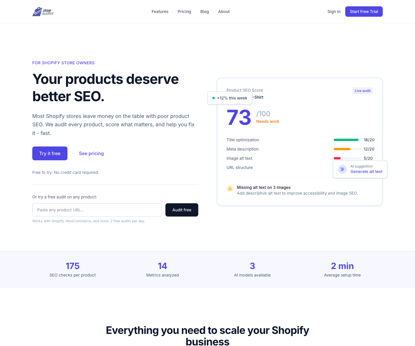 Storeauditor landing page screenshot