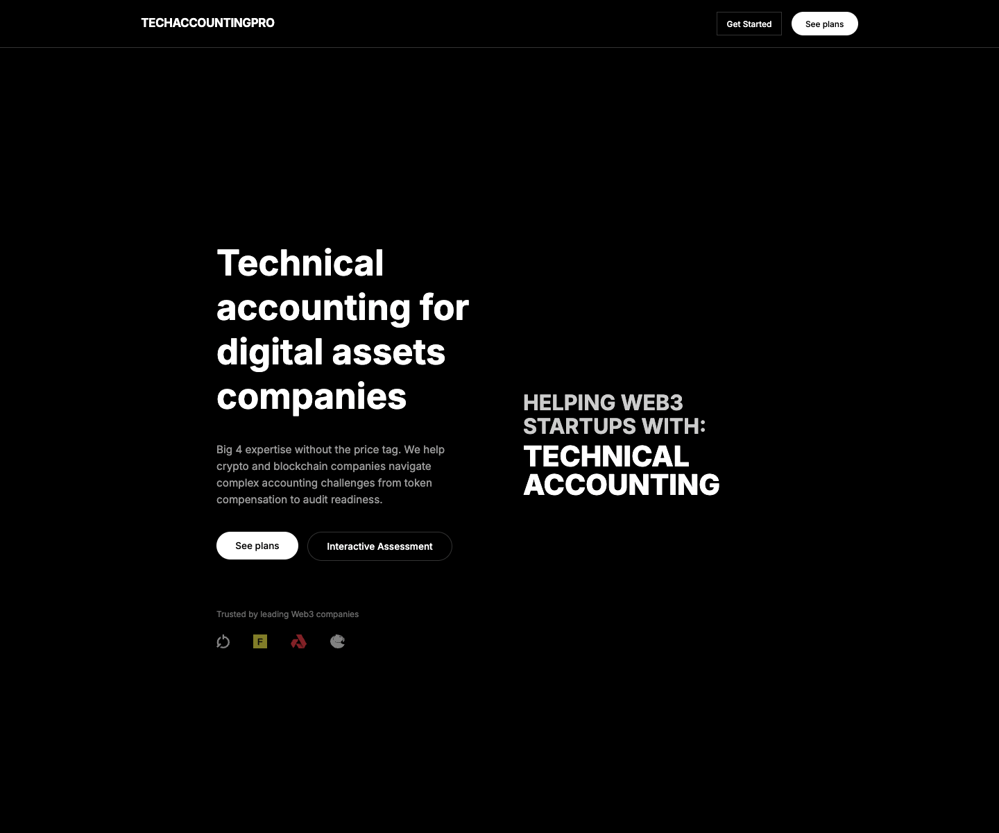 TechAccountingPro landing page screenshot
