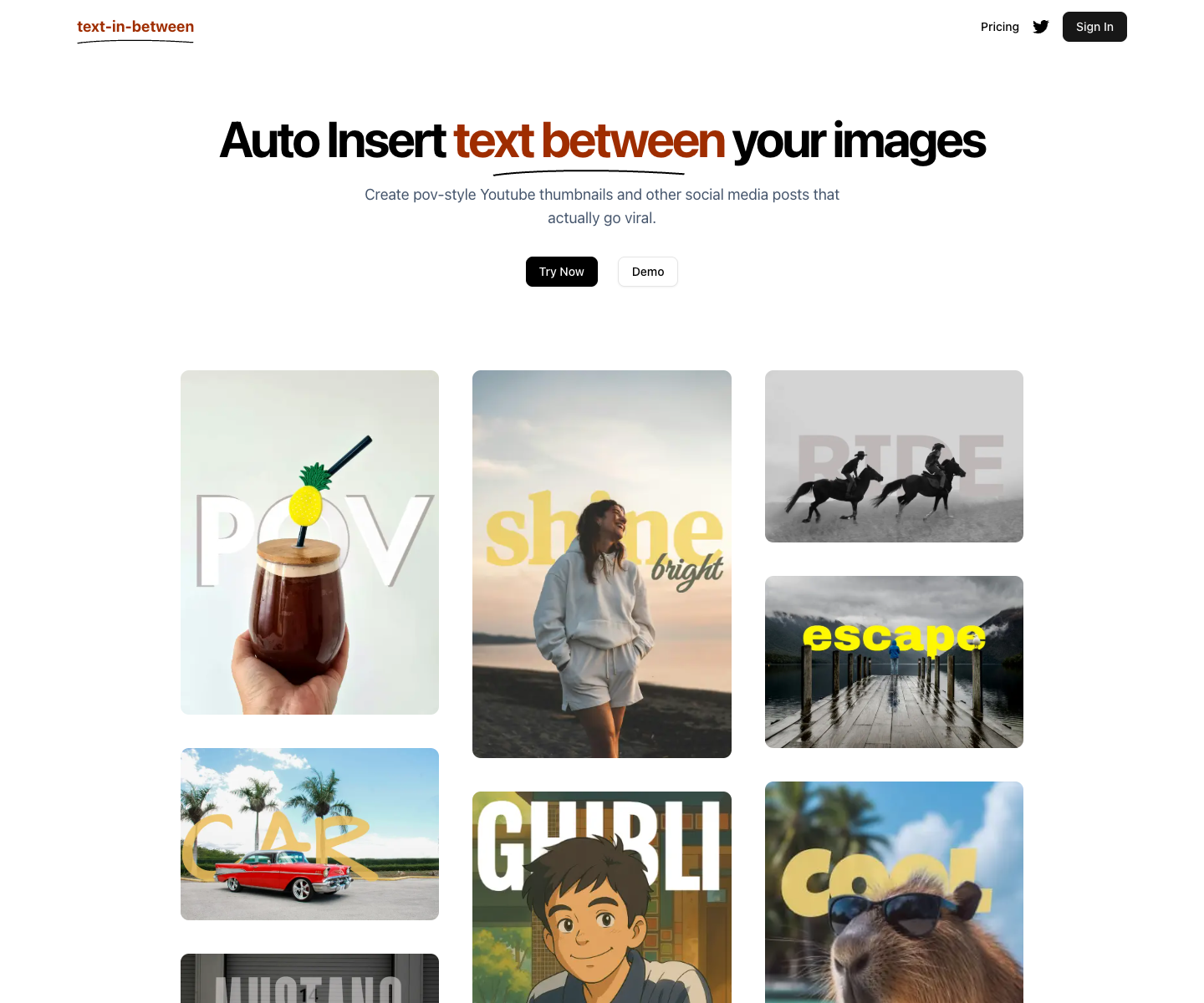 Text In Between landing page screenshot