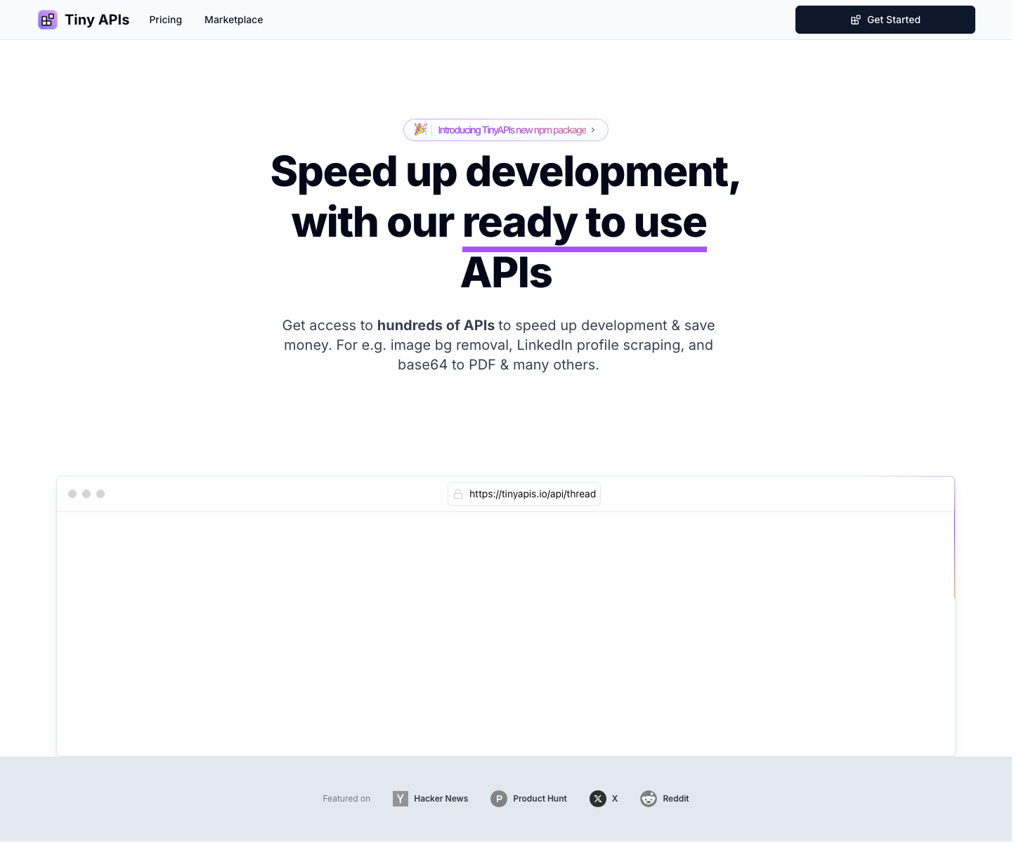 Tiny Api's landing page screenshot