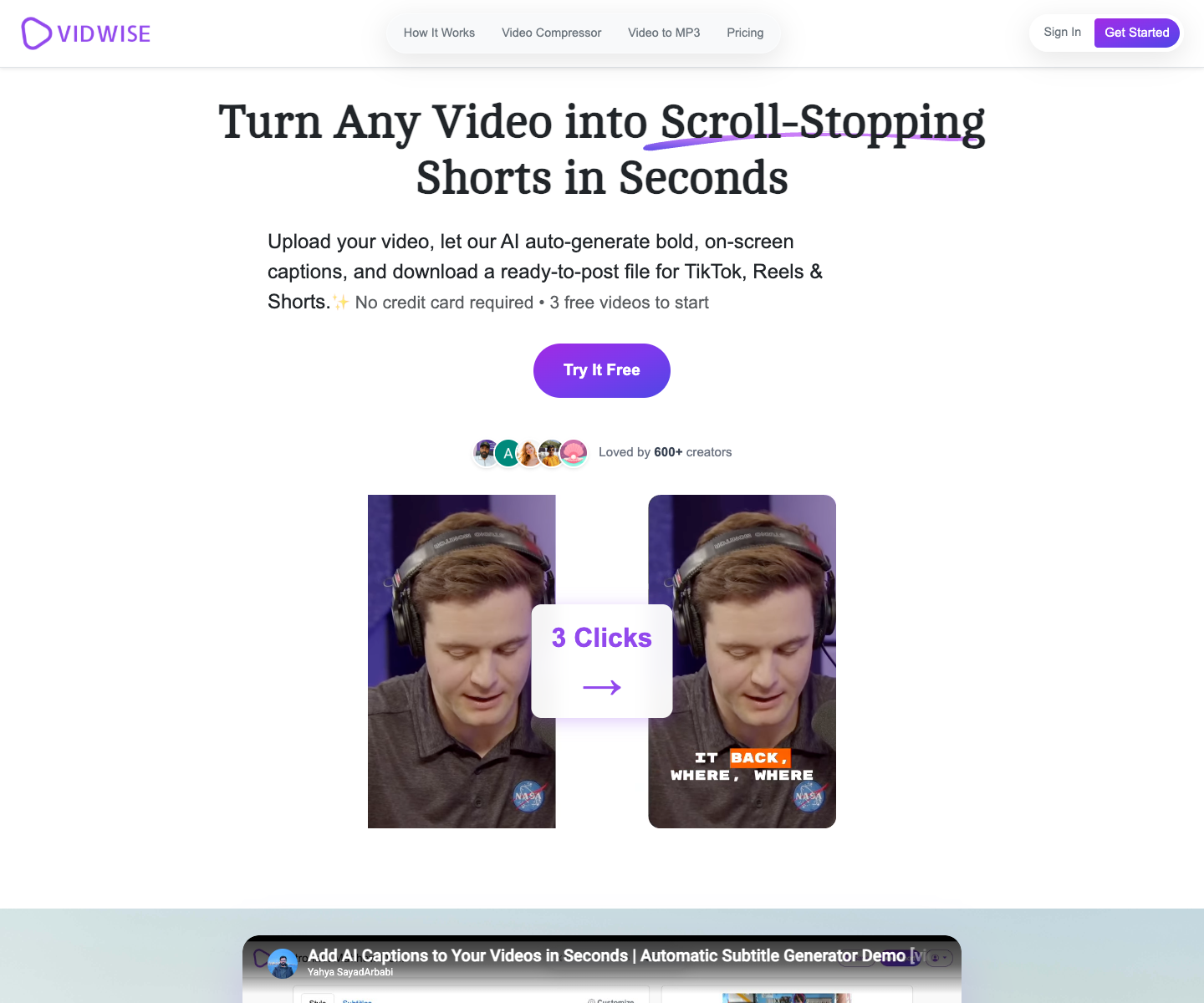 vidwise landing page screenshot